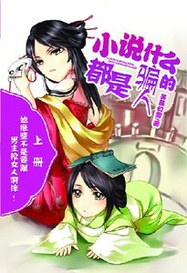 小说什么的都是骗人的