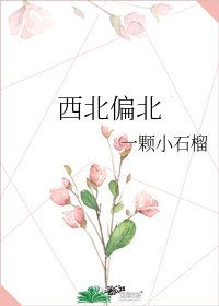 西北偏北